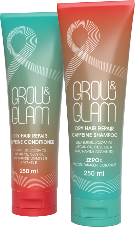 Duo of Dry Hair Repair